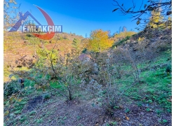 KANDİLLLİ AÇIK HAVA SOKAKTA SATILIK ARSA